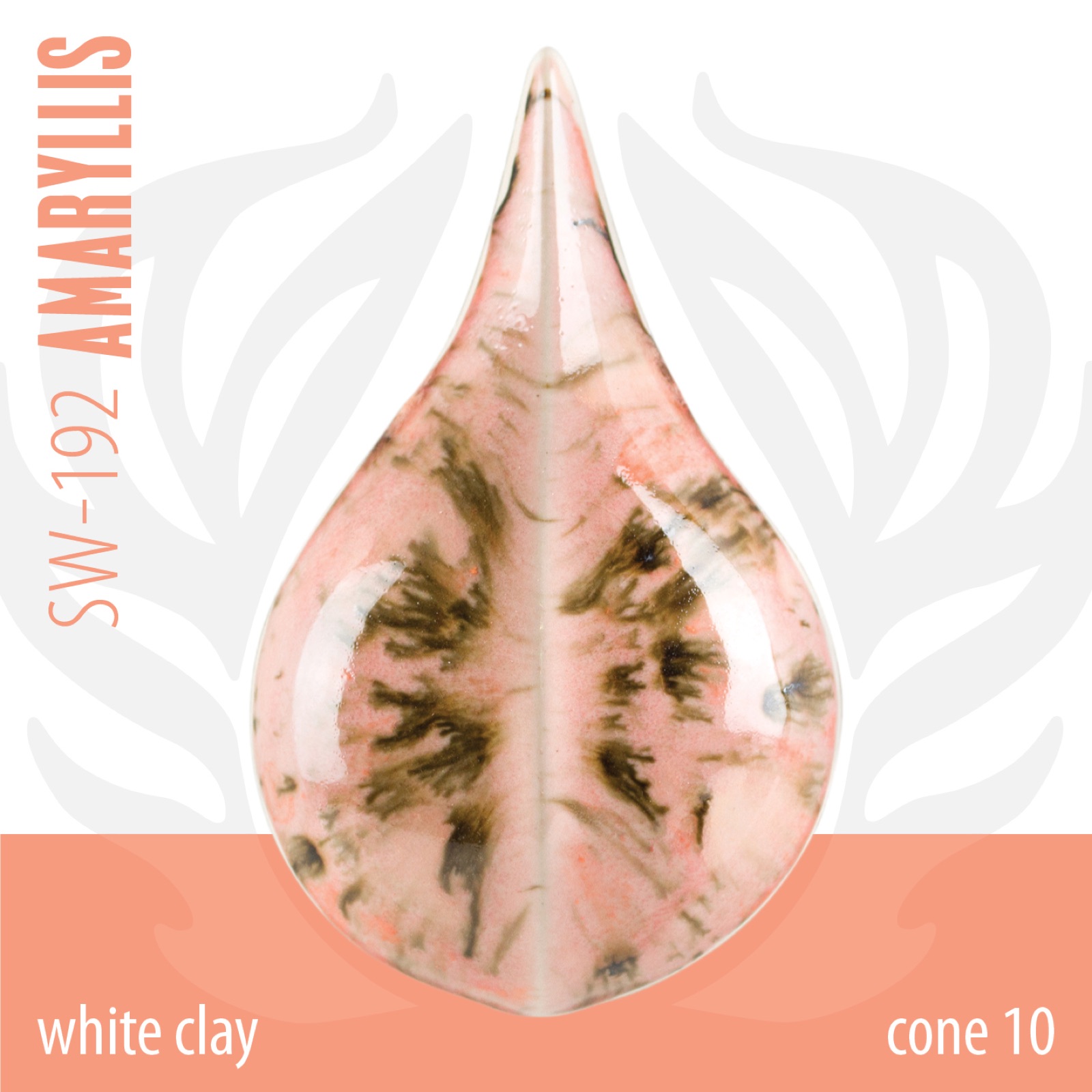 White Clay · Cono 10 Reducción