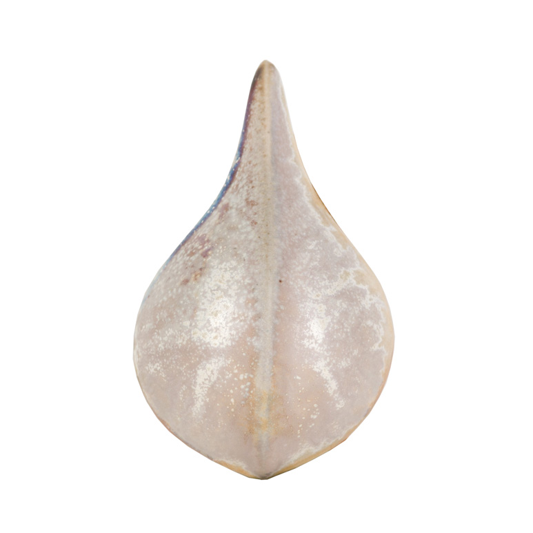 Cono 10 Reducción