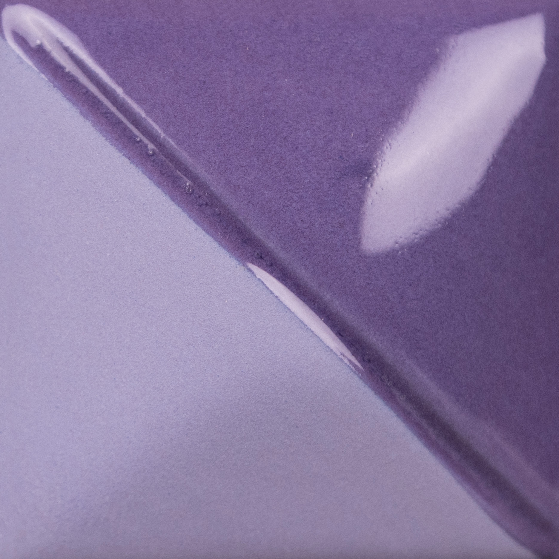 Pansy Purple