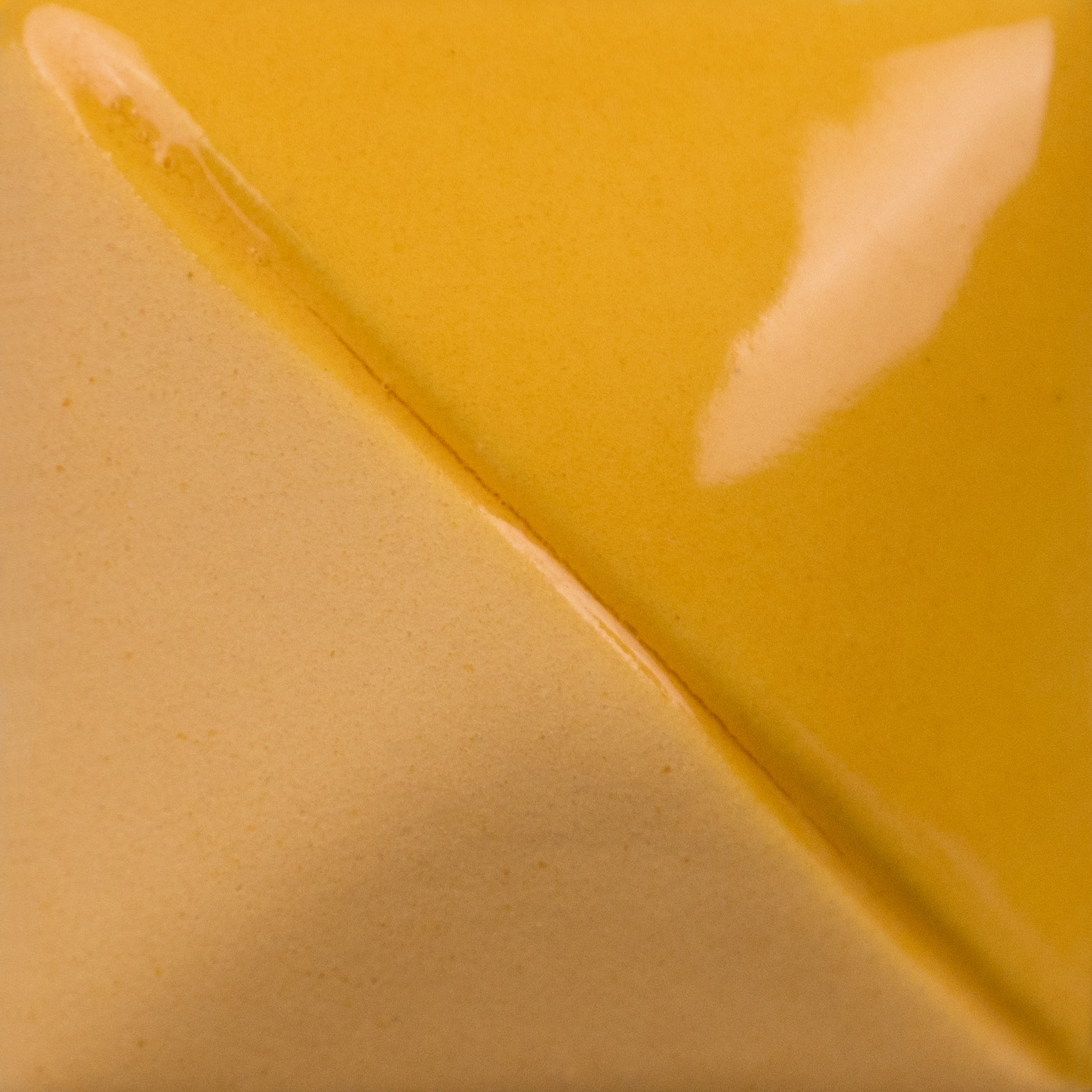 Squash Yellow